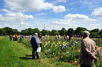 visiteurs dans le champ